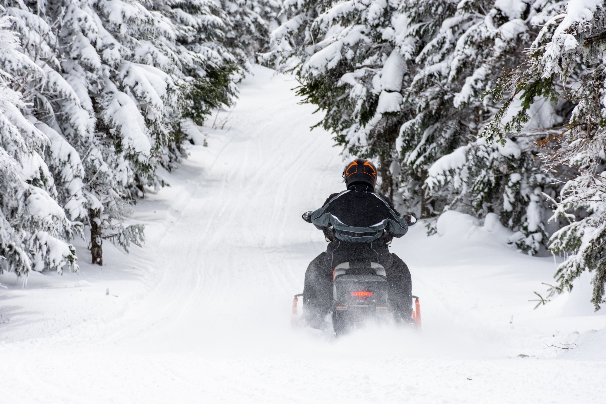 All Seasons Adventures