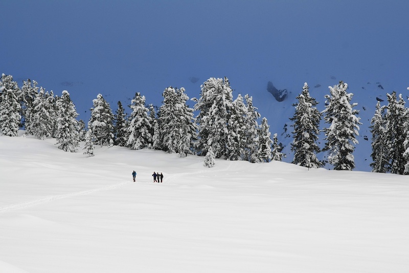 Destination Sports Snowshoeing
