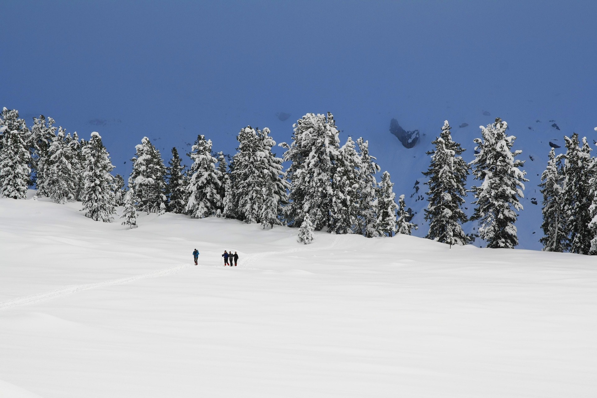 Snowshoers exploring vast private ranch with mountain backdrop