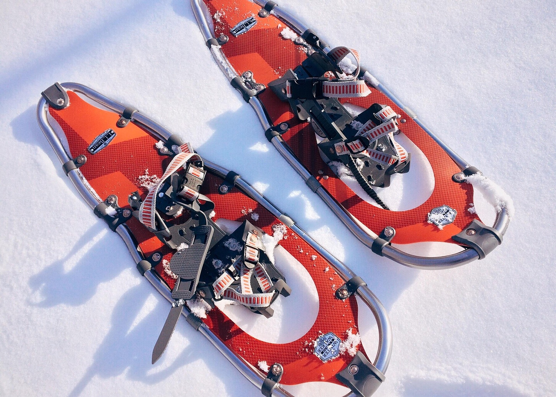 Adventurers sledding down snowy mountain after snowshoeing up