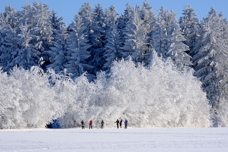 Utah Outdoor Adventures Snowshoeing