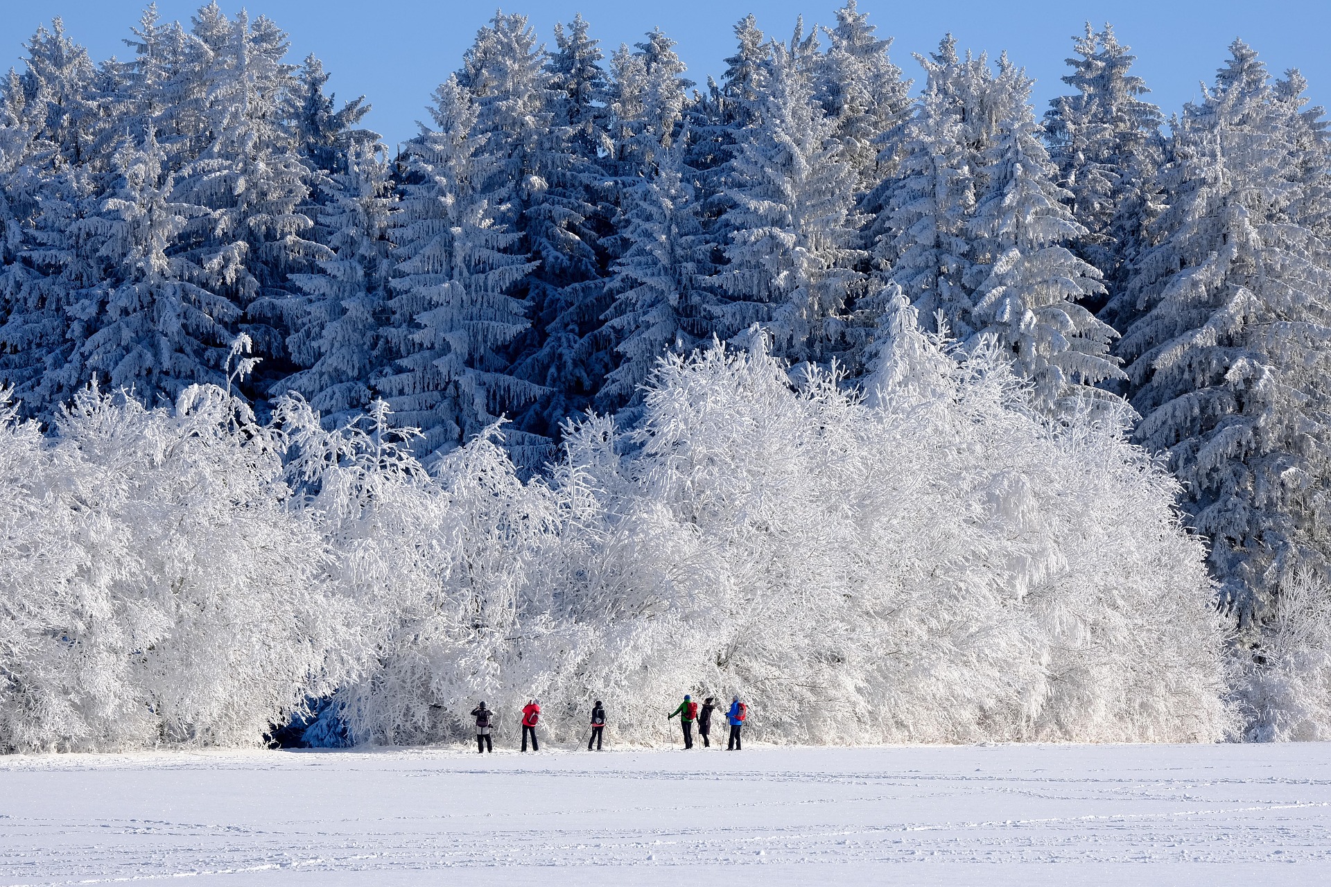 Snowshoers trekking through deep powder in Wasatch Mountains