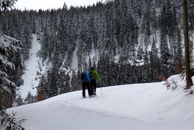 White Pine Touring Snowshoeing